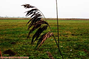 IMG_ (10158)